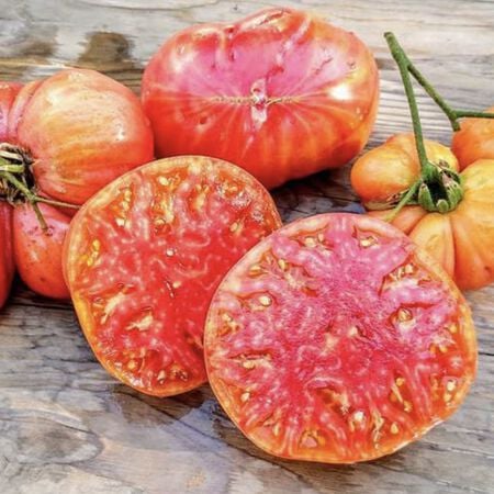 Hillbilly, Tomato Seeds - 1 Pound image number null